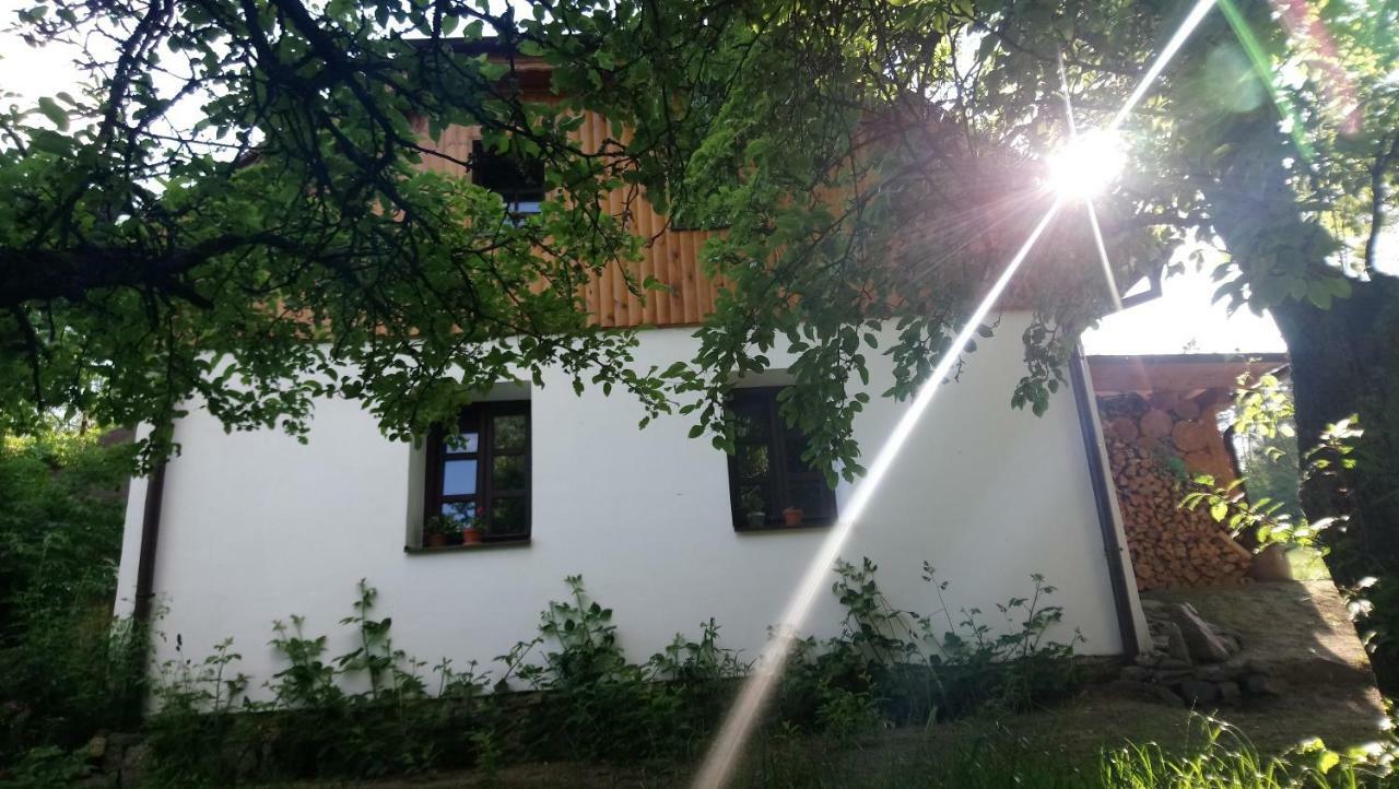Forest Rustic Apartment Brdy Vesin Kültér fotó